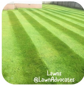 The Lawn Advocates - Gardening Services in East Kilbride