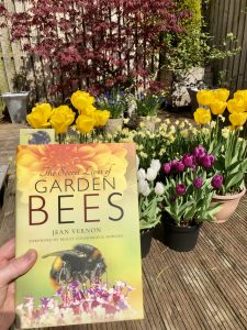 The Secret Lives of Garden Bees - front cover